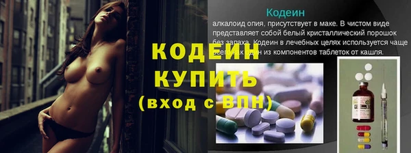 амф Дмитров