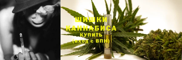 шишки Абаза