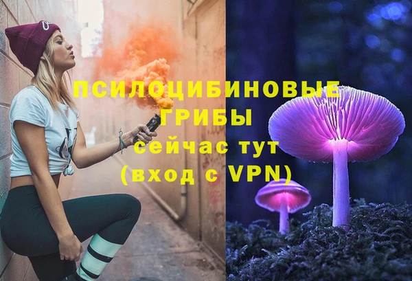 Альфа ПВП Алексин