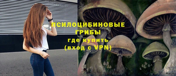 Альфа ПВП Алексин