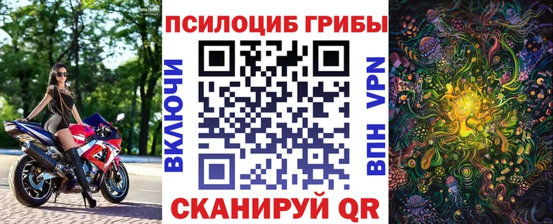 Псилоцибиновые грибы Psilocybe Дедовск