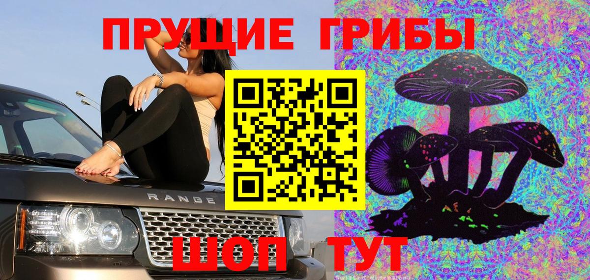 Псилоцибиновые грибы мицелий Дедовск
