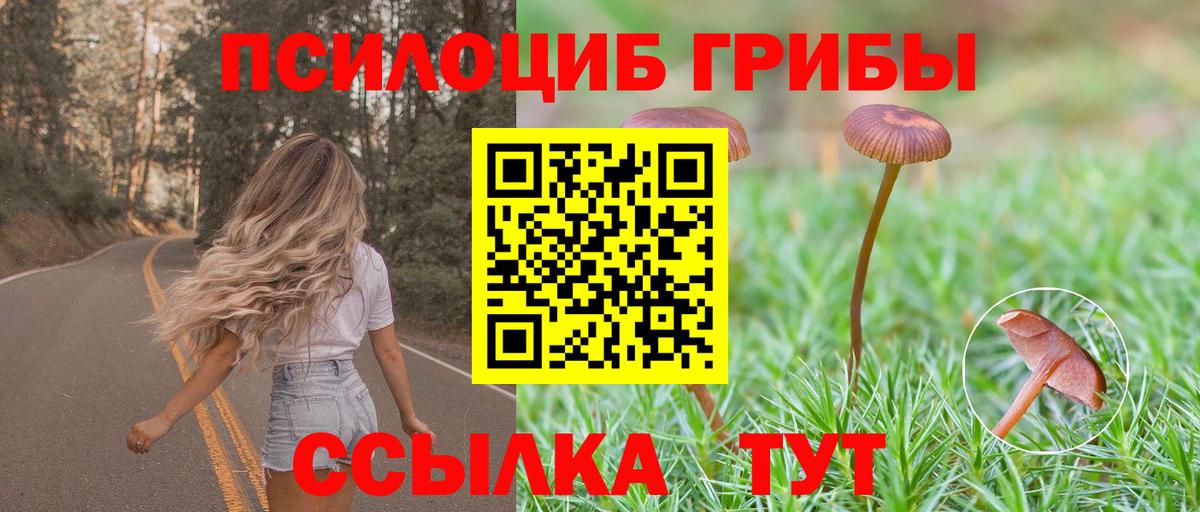 Галлюциногенные грибы прущие грибы  Дедовск  Псилоцибиновые грибы мухоморы 