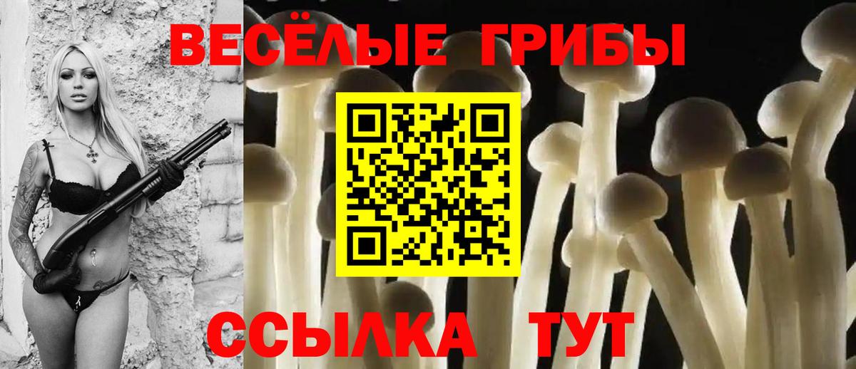 Галлюциногенные грибы ЛСД  Вход с VPN  Дедовск 