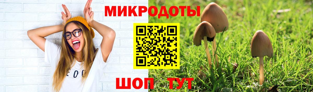 Псилоцибиновые грибы мицелий Дедовск